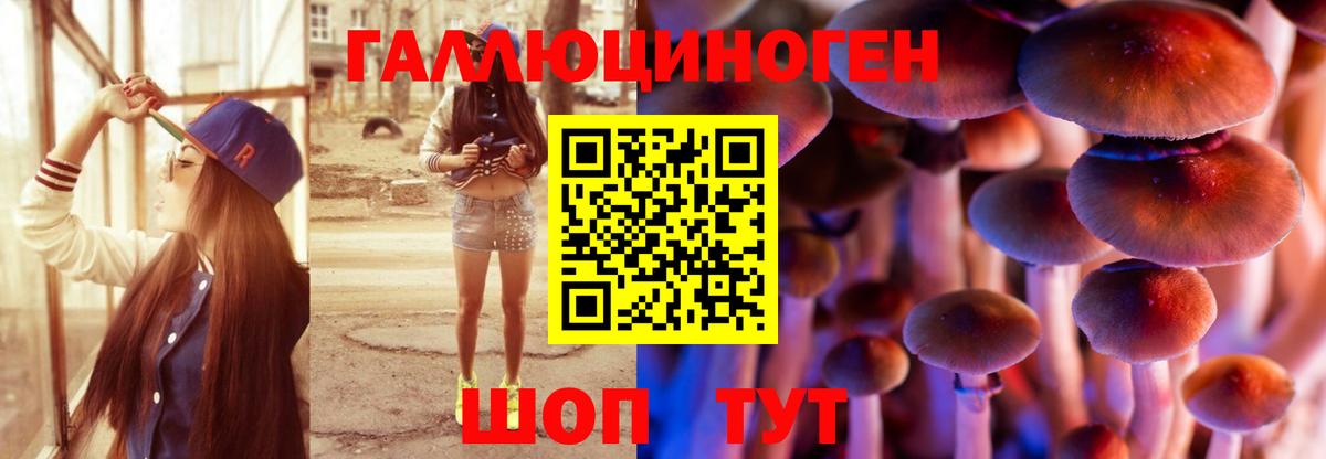 Псилоцибиновые грибы Psilocybine cubensis Урус-Мартан