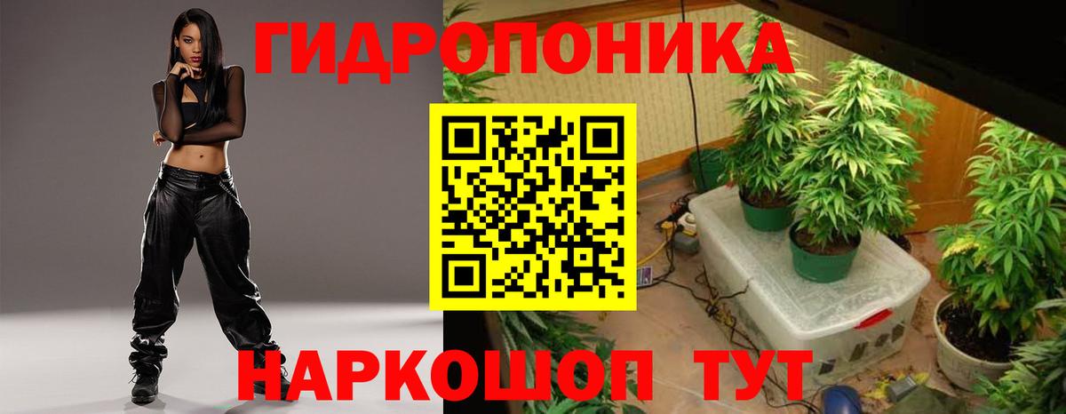 Шишки марихуана AK-47 Урус-Мартан